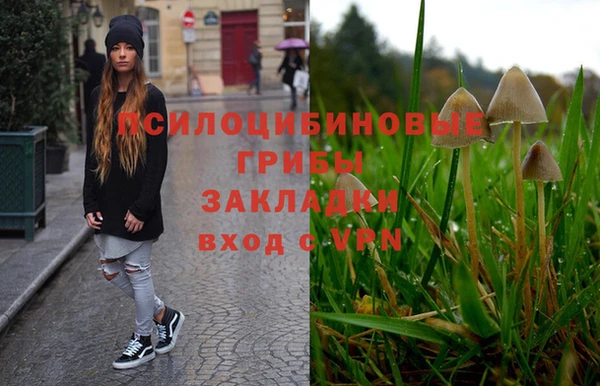 бутират Алексеевка